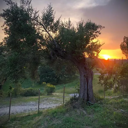Borgo Melograno Lejlighed Chiusi