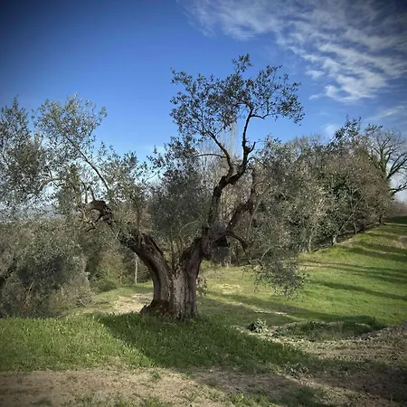 Borgo Melograno Lejlighed Chiusi